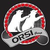 ORSI GROUP