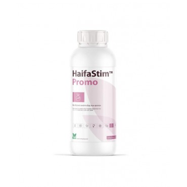 HaifaStim Promo